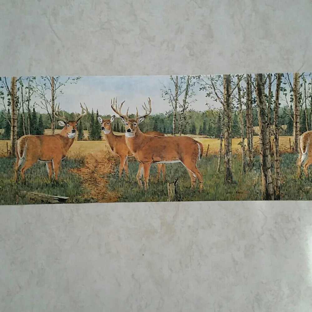 Wallpaper Border - Whitetail Buck Deer Cabin